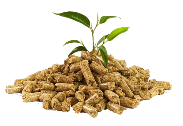 生物质锅炉燃料